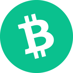 Bitcoin Cash (BCH) cryptocurrency logo