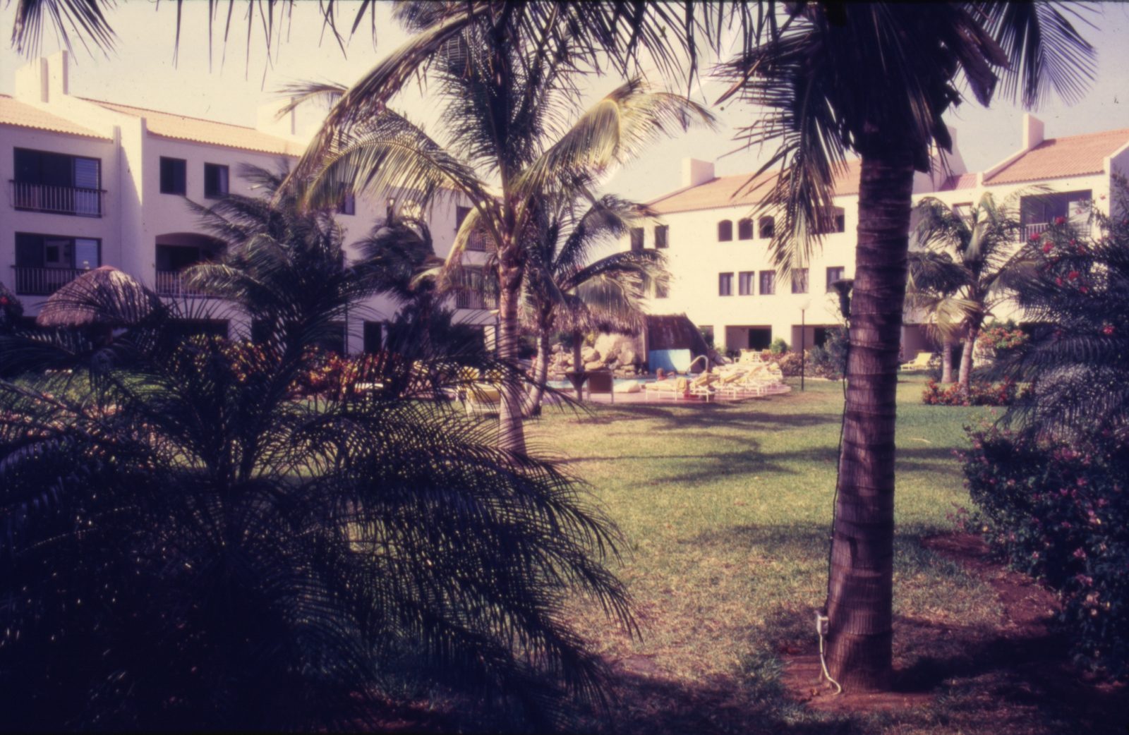 Natalee Holloway: O Mistério da Viagem a Aruba