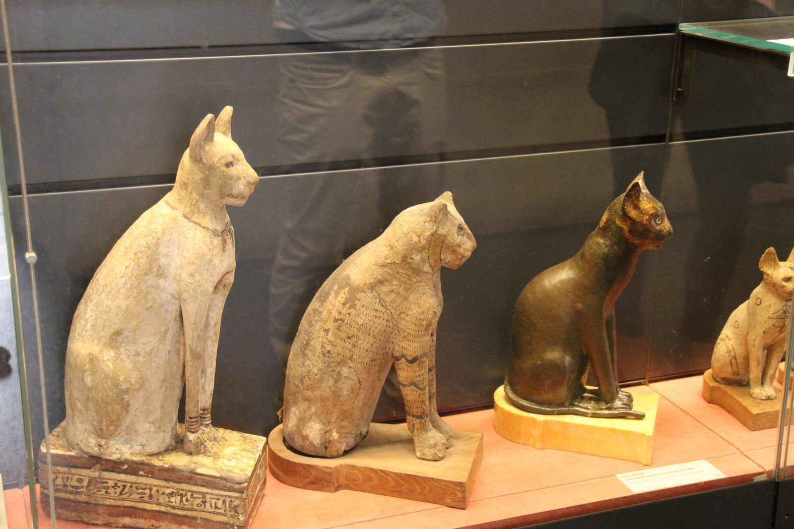 A Sagrada Veneração dos Gatos na Civilização do Egito Antigo